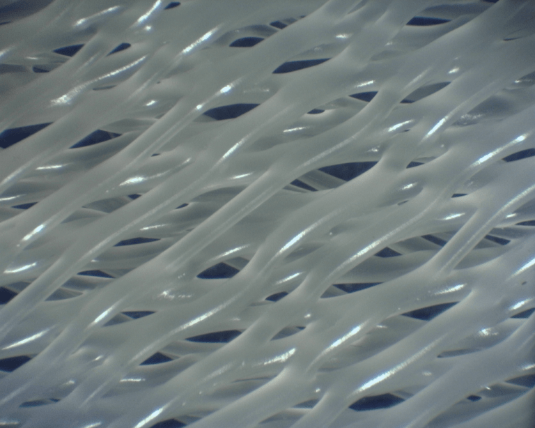 A004 20190311 150008 1 768x614