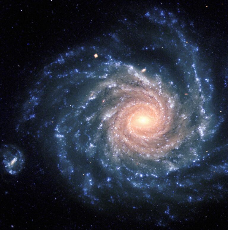 VLT 6 eso9845d 768x774