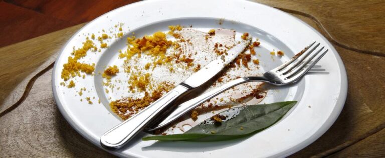 Empty plate1 768x315