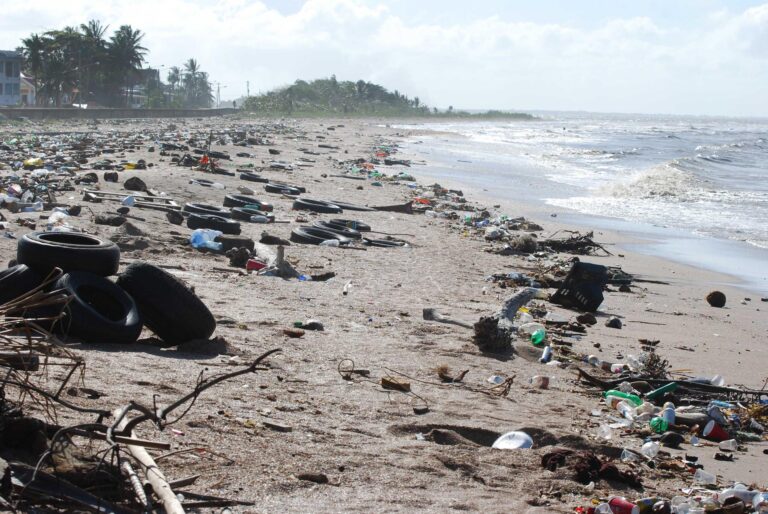 Litter tires1 768x514